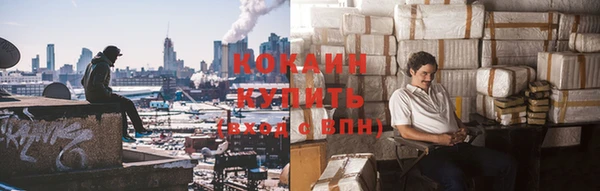 индика Киренск