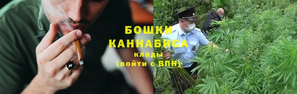 мдпв Козловка