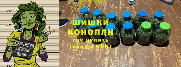 индика Киренск