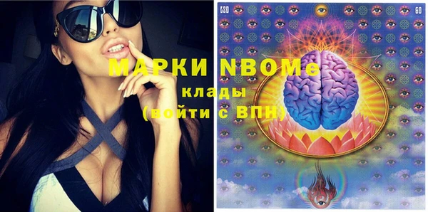 ГАЛЛЮЦИНОГЕННЫЕ ГРИБЫ Кедровый