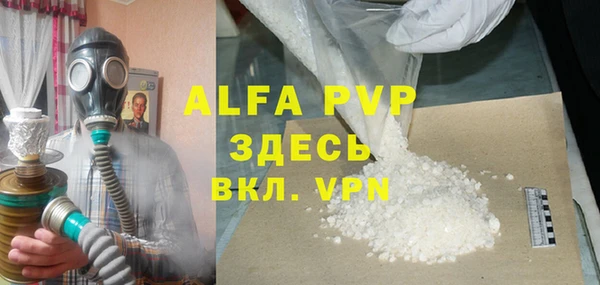 индика Киренск