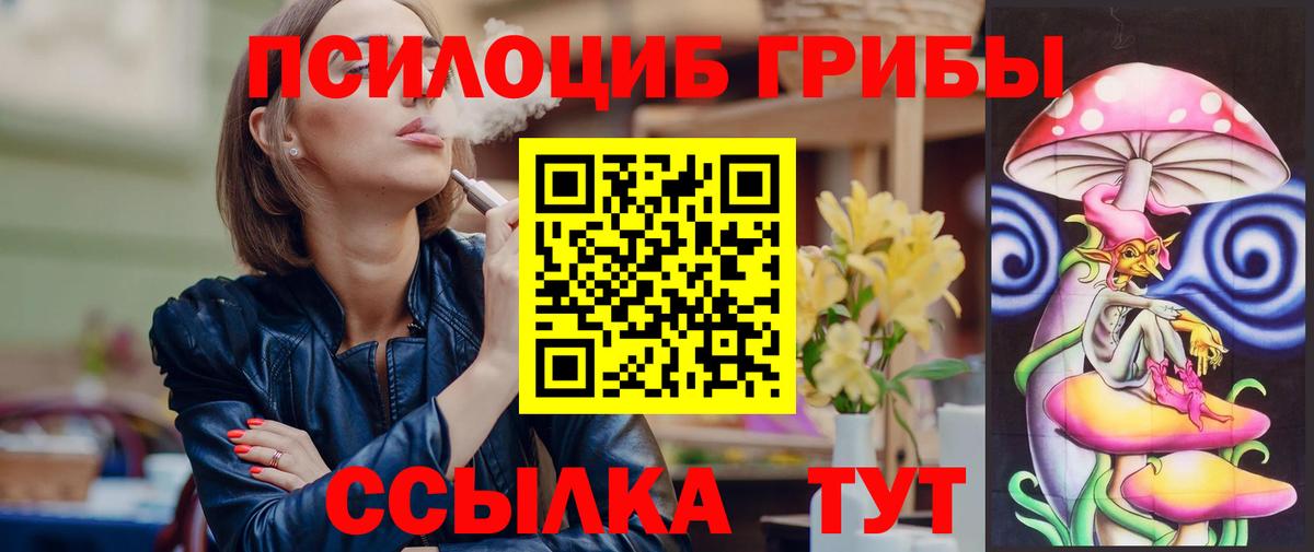 Галлюциногенные грибы Psilocybine cubensis  Мелеуз  закладки  Псилоцибиновые грибы Psilocybe 